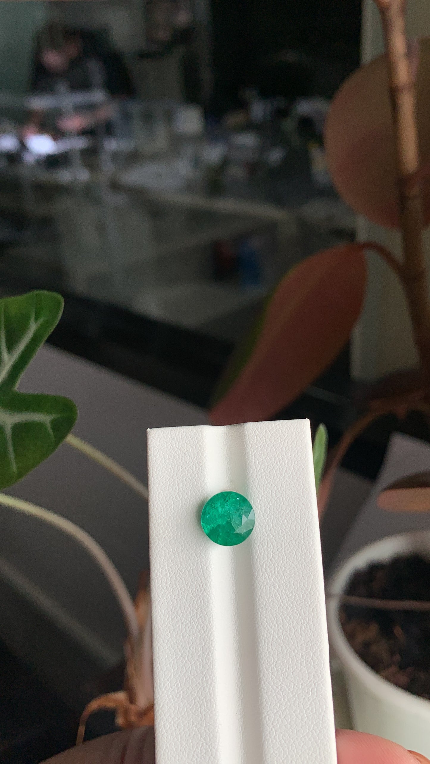 EX-098 Emerald Round 2.80cts 8.96 x 8.80 x 6.38mm