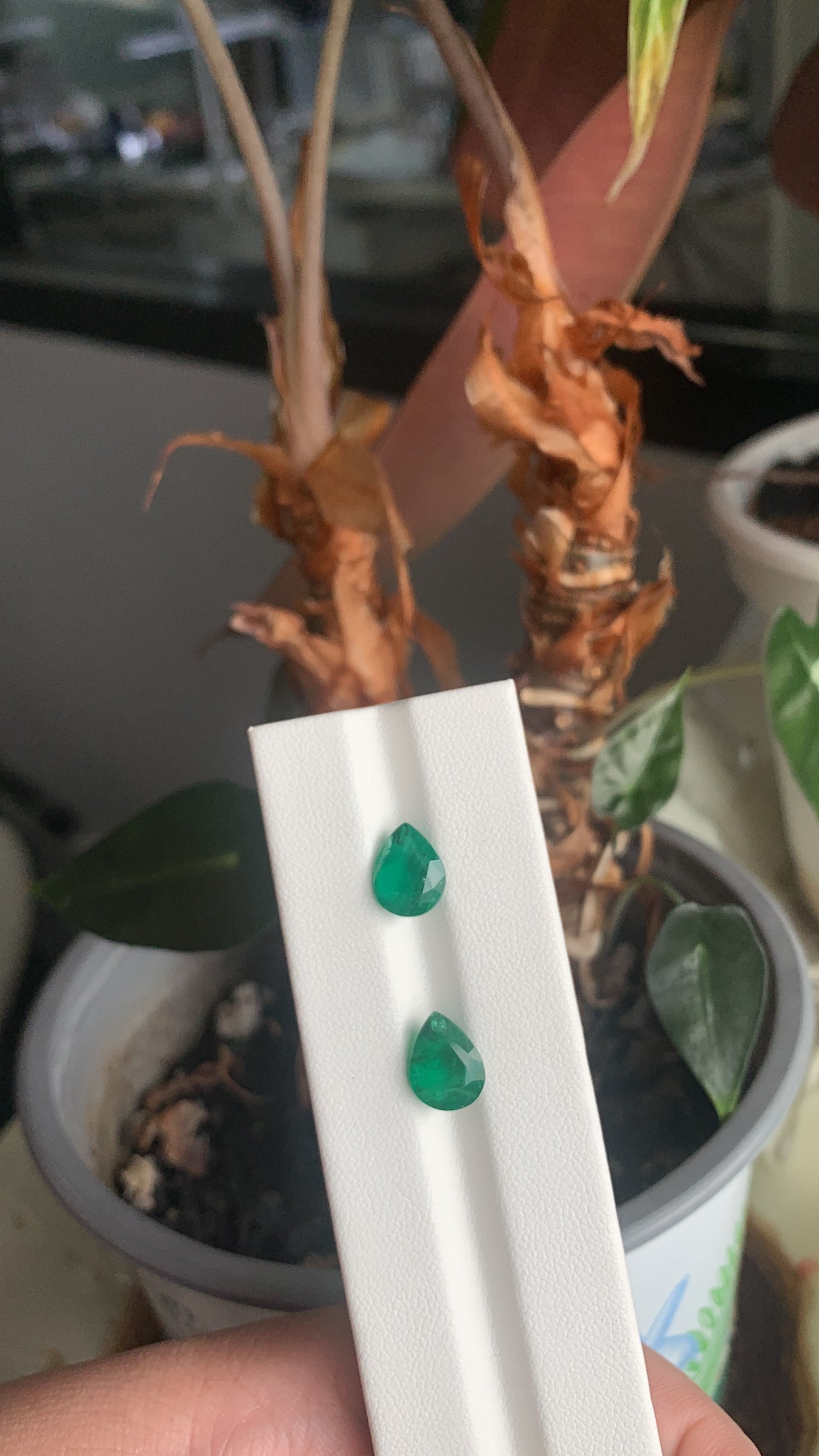 EX-070 Emerald Pear 2 pcs 3.88cts