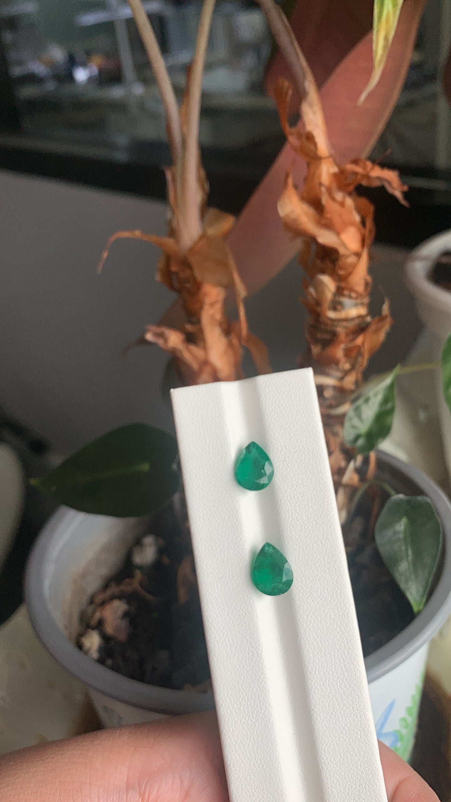 EX-070 Emerald Pear 2 pcs 3.88cts