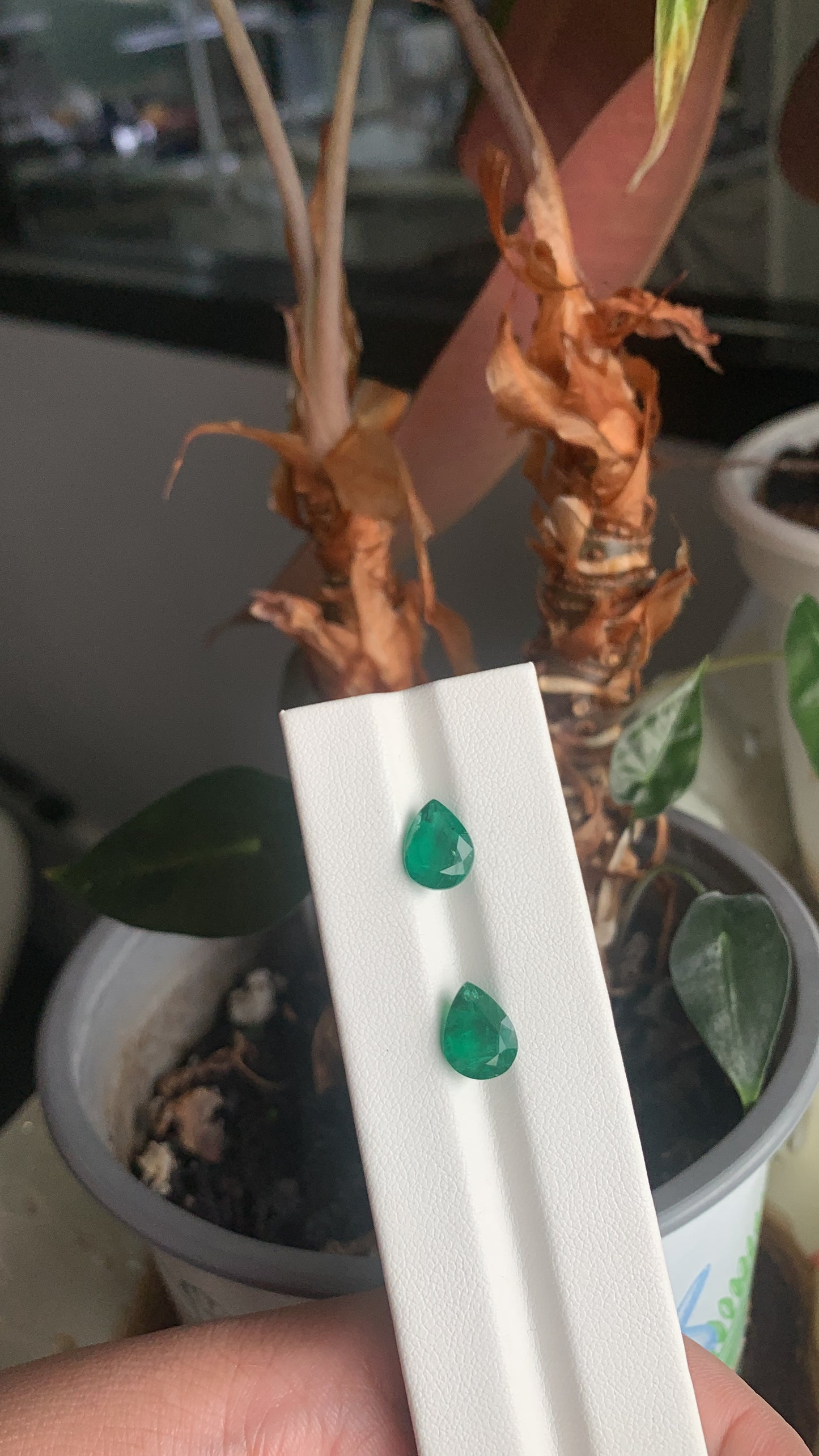 EX-070 Emerald Pear 2 pcs 3.88cts