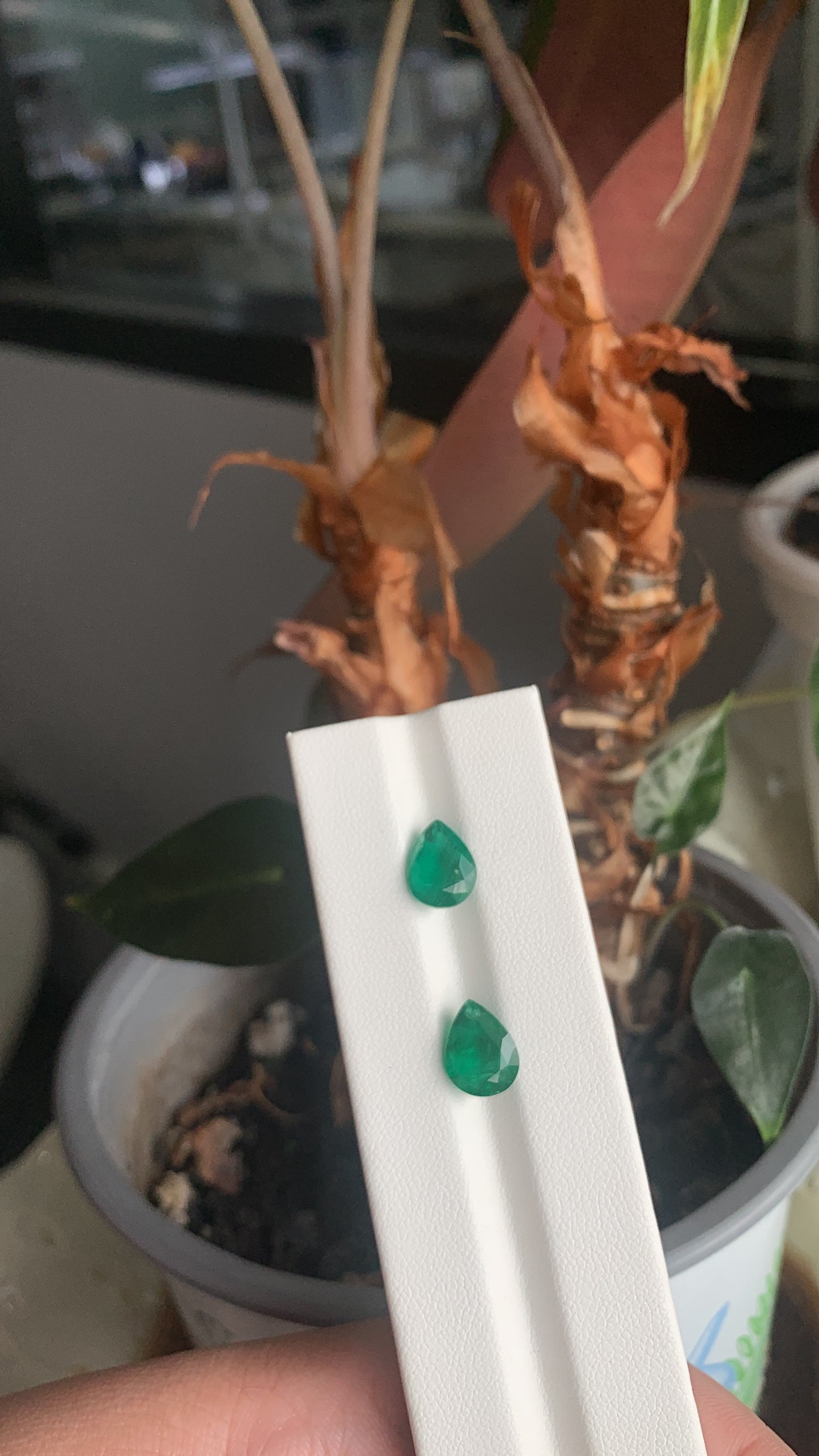 EX-070 Emerald Pear 2 pcs 3.88cts