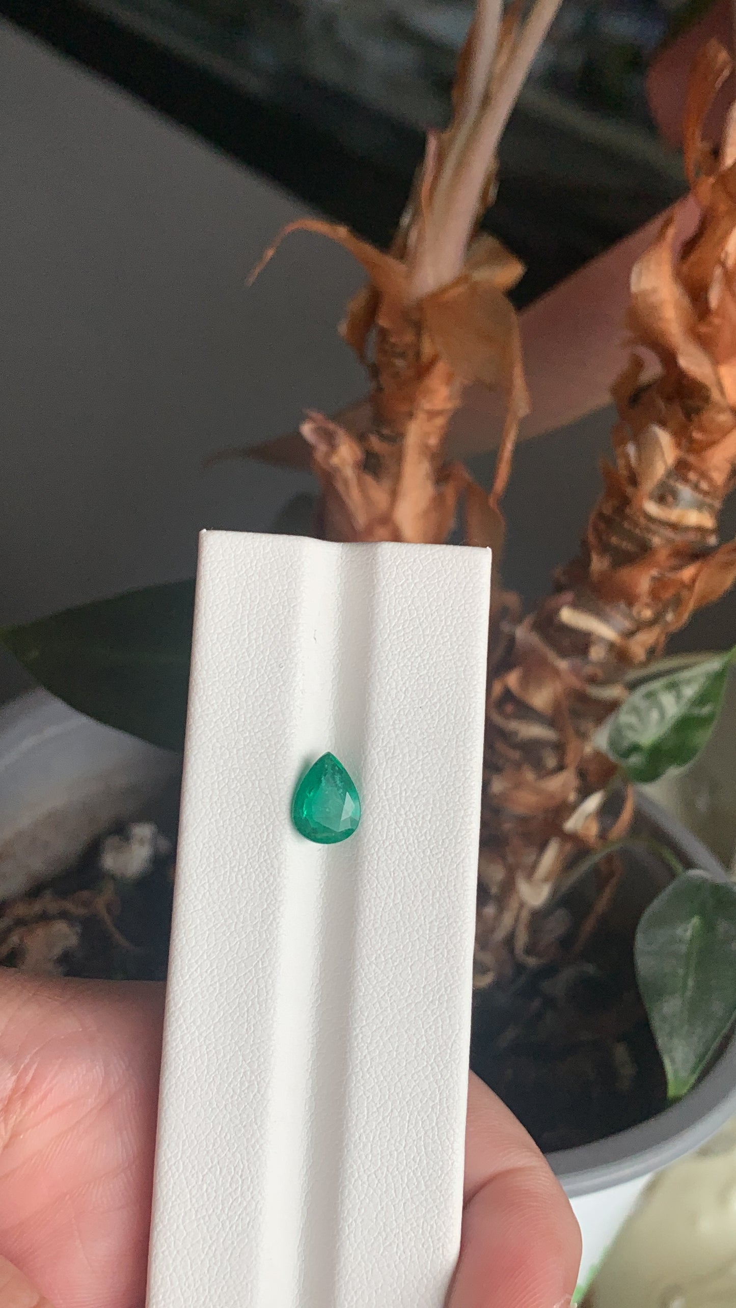 EX-079 Emerald Pear 1.13cts 8.74 x 6.50 x 3.59 mm